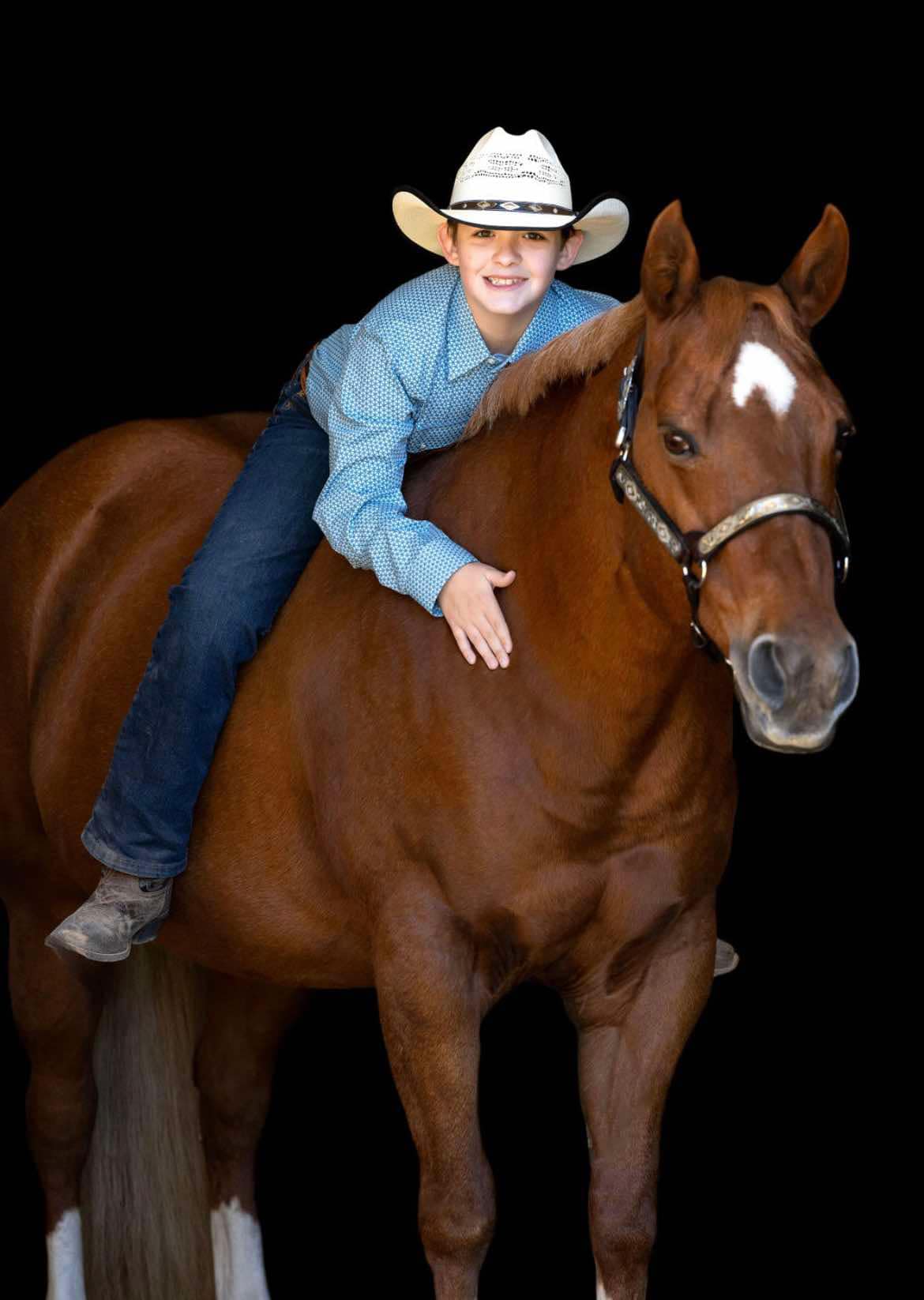 horses are our show string and lesson horses, we provide lessons, training, boarding and camps 