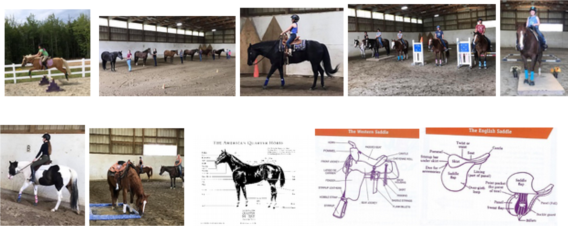 Youth horse camp in Hancock Maine